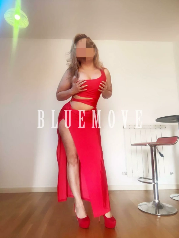 Cenas románticas, Viajes, Salidas a eventos, Salir de fiesta, Masaje cuerpo a cuerpo, Masajes sensitivos, Masajes a domicilio, Masajes a hoteles, Fantasías y disfraces, Masaje erótico: escorts em Madrid